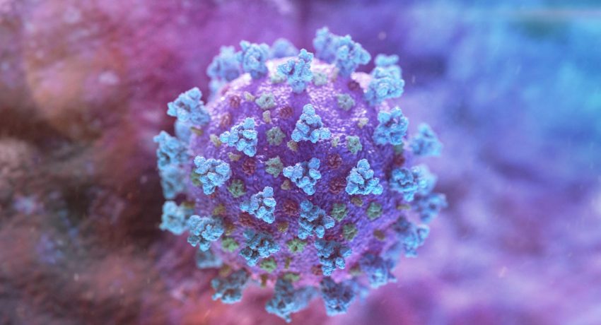 FILE PHOTO: A computer image created by Nexu Science Communication together with Trinity College in Dublin, shows a model structurally representative of a betacoronavirus which is the type of virus linked to COVID-19, better known as the coronavirus linked to the Wuhan outbreak, shared with Reuters on February 18, 2020. NEXU Science Communication/via REUTERS THIS IMAGE HAS BEEN SUPPLIED BY A THIRD PARTY. MANDATORY CREDIT./File Photo