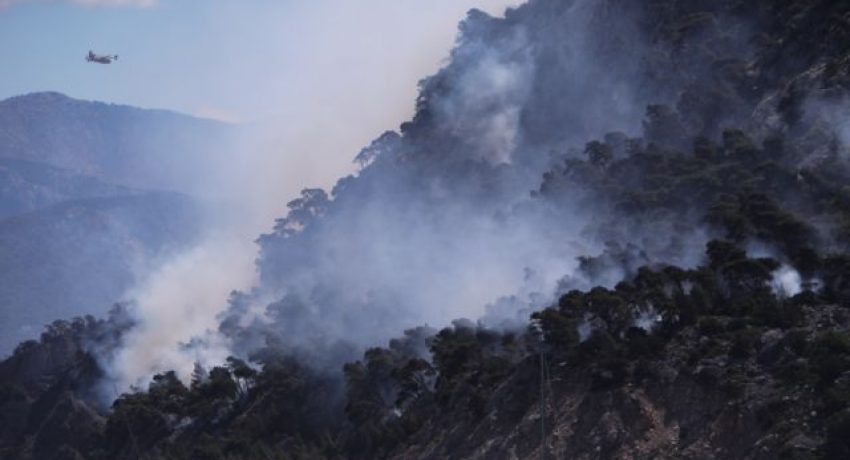 Κατάσβεση πυρκαγιάς στο Αλεποχώρι Κορινθίας, 21 Μαΐου 2021.