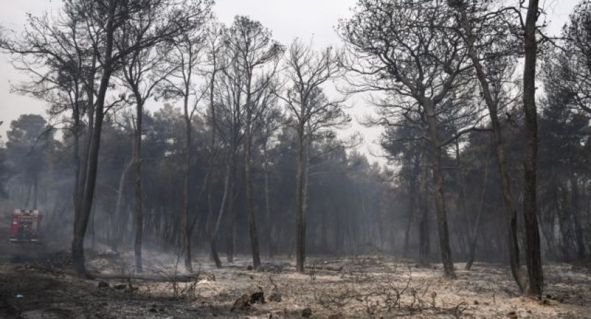 Κατάσβεση πυρκαγιάς στο Αλεποχώρι Κορινθίας, 20 Μαΐου 2021.