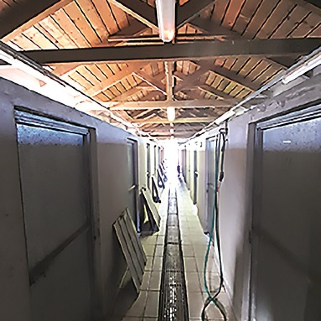 Πάτρα: Άνοιξε τις πύλες του το καταφύγιο για τα αδέσποτα στο Δρέπανο - ΔΕΙΤΕ ΦΩΤΟ
