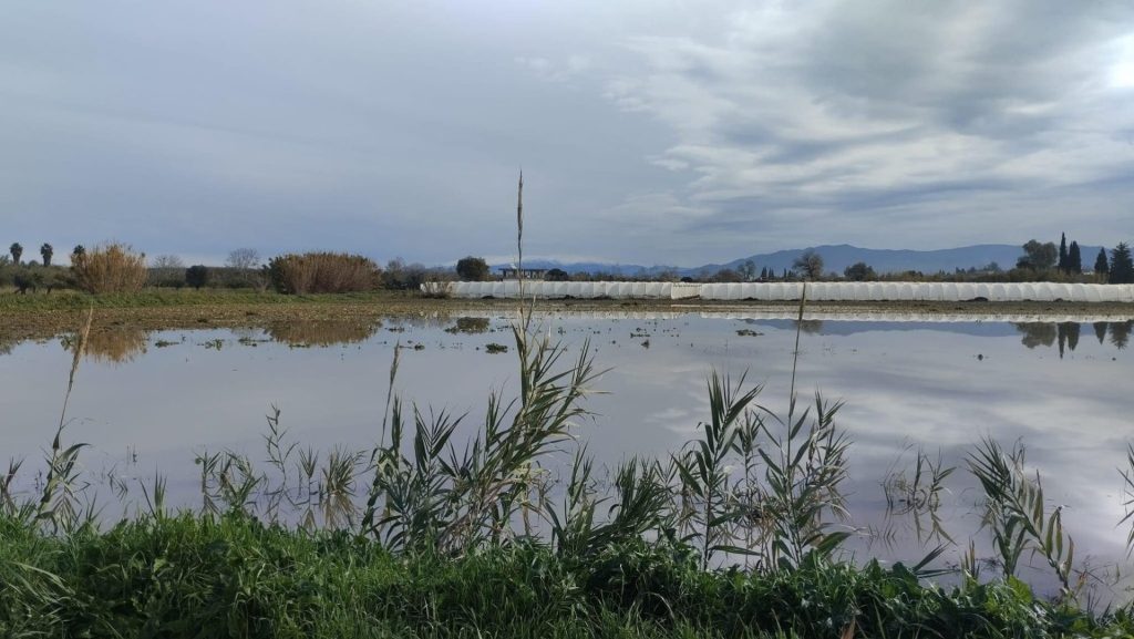 Ανδραβίδα – Κυλλήνη: Πνίγηκαν ζώα και χωράφια μετατράπηκαν σε λίμνες – ΦΩΤΟ