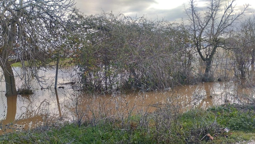 Ανδραβίδα – Κυλλήνη: Πνίγηκαν ζώα και χωράφια μετατράπηκαν σε λίμνες – ΦΩΤΟ