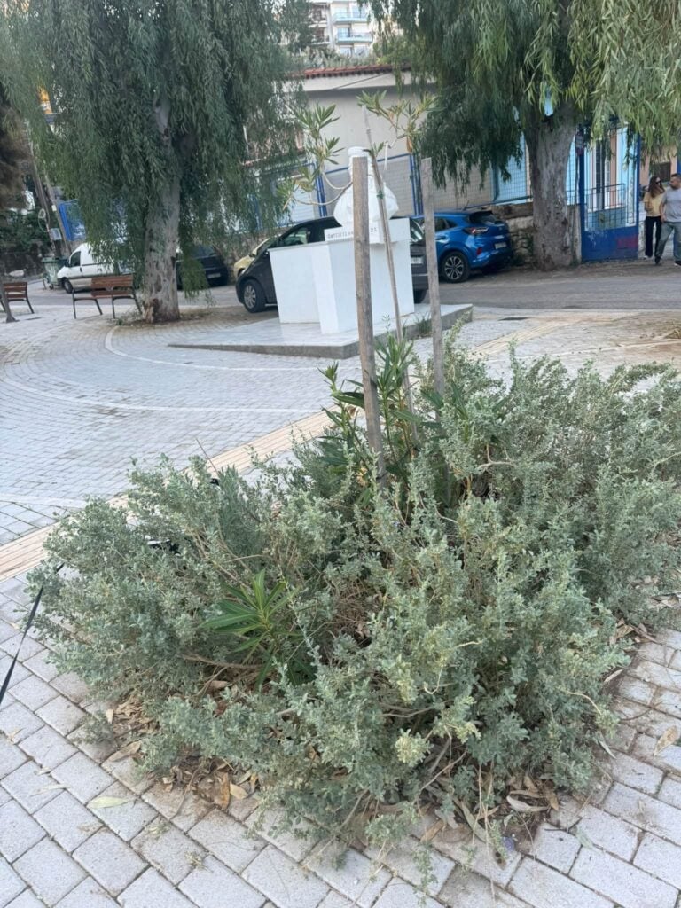 Πάτρα – Βλατερό: Παραδόθηκε η πλατεία Ανδρούτσου, αλλά το πράσινο χρειάζεται φροντίδα (Φώτο)